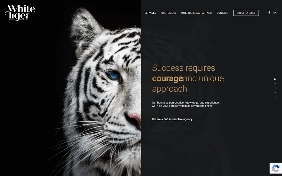 Screenshot of WhiteTiger.pl