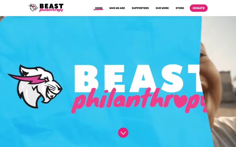 Screenshot of BeastPhilanthropy.org