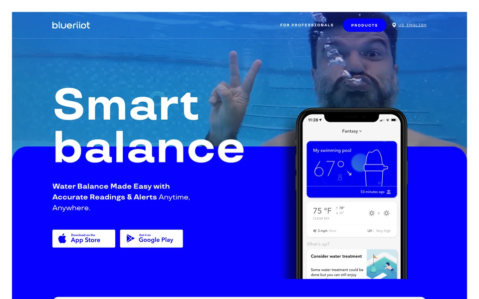 Screenshot of BlueRiiot.com
